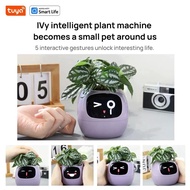 IVY Plant Pet Robot IVY Smart Flower Pot English Version