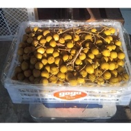 Indukbuah Buah Kelengkeng Lengkeng 1 Krat Keranjang 5,5 kg