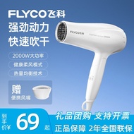 High-Power Household FH6232Hair Salon Hair Dryer2000W Foldable Hair Dryer for Home Use by Feike CEFV