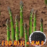 STOK SEDIA BENIH - SEED ASPARAGUS MARRY WASHINGTON INDUK TEMPATAN