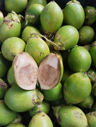 Jambe Pandan Wangi Muda Segar Pilihan – Buah Pinang Muda Alami untuk Kesehatan & Stamina