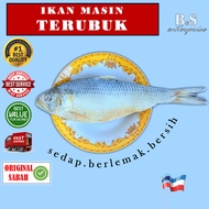 IKAN MASIN TERUBUK SABAH/IKAN MASIN TERUBOK SABAH/TERUBUK IKAN MASIN/TERUBUK SAIZ SEDERHANA