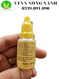 Chấm ra hoa thanh long không cần chông đèn - VSL11 - SL11 - PHÂN BÓN