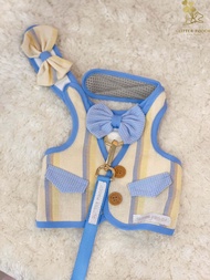Glitter Pooch Harness ชุดรัดอก สายจูง เสื้อผ้า สุนัข หมา แมว สัตว์เลี้ยง พร้อม สายจูง รุ่น Abel The 