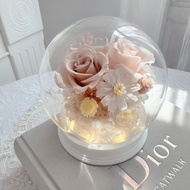 永生花拍拍燈玻璃盅-玫瑰奶茶