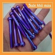 Gr5 6li60 titanium screw