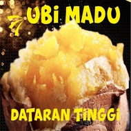 ubi madu cilembu/ubi cilembu/ubi madu segar/ubi madu fresh. Harga untuk 1 kg