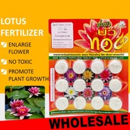 THAILAND FERTILIZER FOR LOTUS & WATER LILY ( 12 TABLETS ) BAJA TUMBUHAN AIR N-P-K 9-23-20