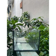 (nationwide) mini fish tank - betta fish tank 20x15x20 with black and white glue, all sizes to choos