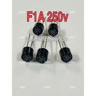 T1A 250V Micro Fuse(5BIJI)
