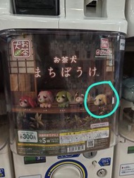 [賣/換] BANDAI お茶犬 扭蛋 奶茶犬