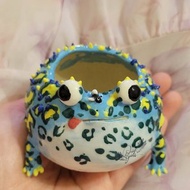 Holy Spirit手作 藍色角蛙小陶盆 傻蛙滴卡 手捏陶器 多肉小盆器