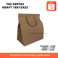 Kraft Paper Bag 18x12x22 (12 Pcs)