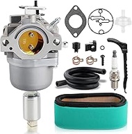 AUTOKAY 495935 799727 698620 Carburetor Compatible with Briggs and Stratton 791886 690194 498061 499