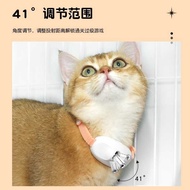 Trendy Cat Teaser Cat Laser Collar Smart LED Laser Laser Cat Cat Toy Pet Utensils