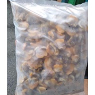 Frozen Cockles | Kerang Rebus 1kg