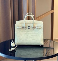 Birkin 20 Y1 vanilla mat CK alligator