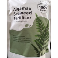 Organic Seaweed Fertilizer Kelp Fertilizer Natural Fertilizer