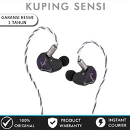 XENNS Mangird Tea Pro Precision Tuning 2DD+6BA Hybrid In Ear Monitor Earphone