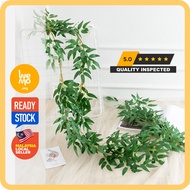 1.4M Long Artificial Hanging Leaves | Locust Leaf Hanging Plant | Daun Jurai Pokok Berjuntai | Pokok
