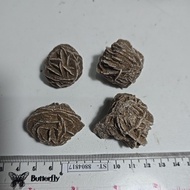 Selenite Desert Rose Africa NATURAL STONE