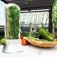 Herb Saver Storage Container Vegetable Preserving Bottle Fresh Herb Keeper for Kitchen Storing Cilan