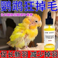 Parrot Feather Growth Liquid Birds Universal Beautiful Feather Feng Feather Change Feather Feather R