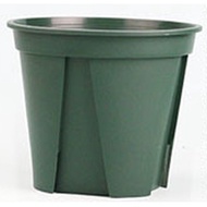 Aoyama Pot Made In Japan 11cm 10cm Root Control Flower Gallon Fig Rose Turtle Taro Staghorn Fern 3.3