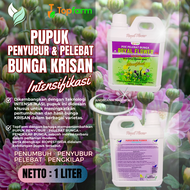 Pupuk Bunga Krisan Agar Berbunga / Pupuk Untuk Bunga Krisan / Pupuk Penyubur Bunga Krisan / Pupuk Ta