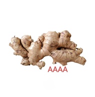 Ginger Bentong 1kg AAAA