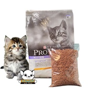 Proplan Kitten Repack 1kg- Makanan Anak Kucing Pro Plan Anggora Persia Bagus