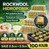 100 Cubes Rockwool Aquaponic Germination Rockwool Hydroponic Rockwool with Holes Hydroponik Rockwool