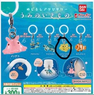 Bandai 扭蛋 - 海洋生物透明吊飾