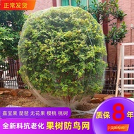 Pokok Buah-buahan Penutup Jaring Burung Ara Jaring Ceri Jaring Perlindungan Burung Dusun Nylon Mesh 