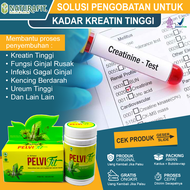 Obat Kreatinin Tinggi Obat Penurun Kreatin Paling Ampuh Gangguan Ginjal Kadar Ureum Tinggi Obat Men