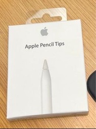 apple pencil 筆尖