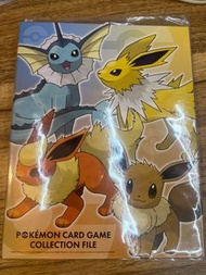 PTCG 伊布收藏卡冊