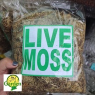 Live Sphagnum Moss 200 grams
