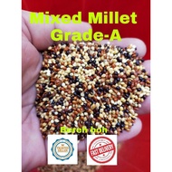 KAMBU MIX BERMUTU TINGGI