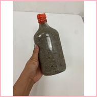 ✙ ◇ BAGOONG SISI TALABA/ AMAHONG  / GINAMOS DILIS / 375ml  '' PINOY'S FAVORITE BAGOONG