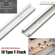 POPULAR 1Pcs T-Track, Aluminium Alloy T Slider Fixture Slot Slide T-Slot Track,  19 Type 19x9.5mm Sl