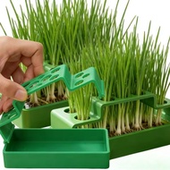 Scallion Hydroponic Planter - Garlic Seedling Case - Soilless Cilantro Growing Pots - Root Vegetable