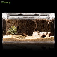 Winu Pet Bowl Simulation Rock Escape Proof  Bowl Reptiles Simulation Rock Bowl