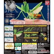 Bandai 扭蛋 昆蟲圖鑑 大螳螂 環保扭蛋 3色3款