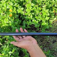 SEROMBONG CARBON WARNA WARNI SROMBONG LARAS PIPA CARBON OD 22 - Green Lestari