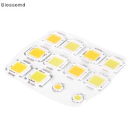 Blossomd 1pc cob led light dc led bulb chip on board 10W 20W 30W 50W 70W 100W 2 colors New