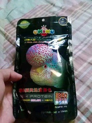 louhan kamfa f2 ori import thailand 3 4cm