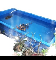 jual kolam ikan koi kolam fiber kotak ukuran kolam ikan koi 120*80*40
