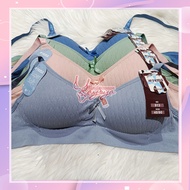 Bra I Fema 913 Knitted Bra with Foam without Wire Size 34-40