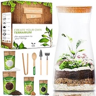DIY Terrarium Kit for Plants - Terrarium Starter Kit for Garden in Bottle - Self Sustaining Ecosyste